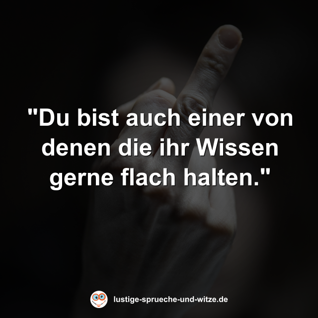 "Du bist auch einer von denen die ihr Wissen gerne flach halten."