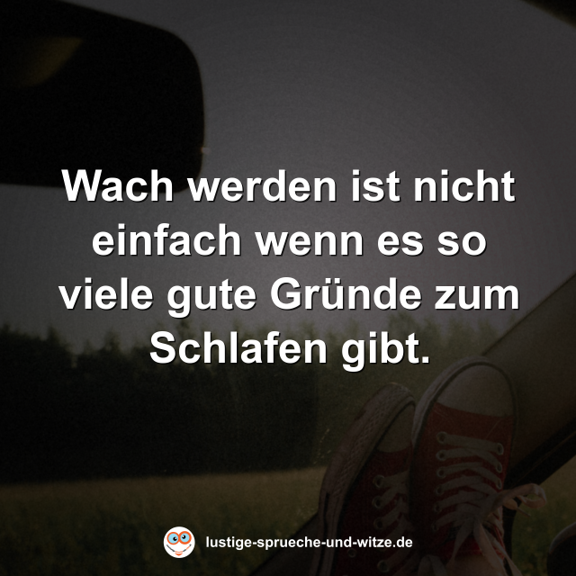 Wach werden ist nicht einfach wenn es so viele gute Gr&uuml;nde zum Schlafen gibt.