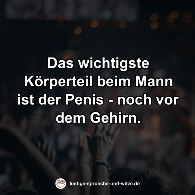 Das wichtigste K&ouml;rperteil beim Mann ist der Penis - noch vor dem Gehirn.