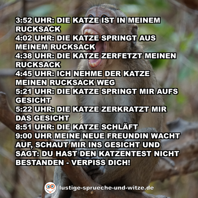 3:52 Uhr: Die Katze ist in meinem Rucksack 4:02 Uhr: Die Katze springt aus meinem Rucksack 4:38 Uhr: Die Katze zerfetzt meinen Rucksack 4:45 Uhr: Ich nehme der Katze meinen Rucksack weg 5:21 Uhr: Die Katze springt mir aufs Gesicht 5:22 Uhr: Die Katze zerkratzt mir das Gesicht 8:51 Uhr: Die Katze schläft 9:00 Uhr Meine neue Freundin wacht auf, schaut mir ins Gesicht und sagt: Du hast den Katzentest nicht bestanden - verpiss dich!