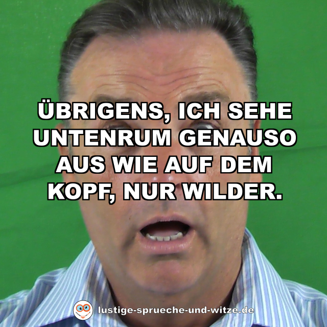 Übrigens, ich sehe untenrum genauso aus wie auf dem Kopf, nur wilder.