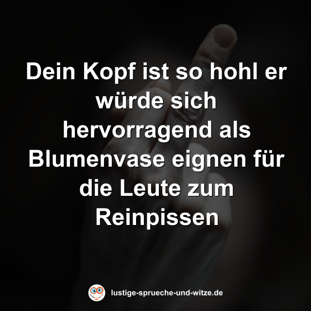 Dein Kopf ist so hohl er w&uuml;rde sich hervorragend als Blumenvase eignen f&uuml;r die Leute zum Reinpissen