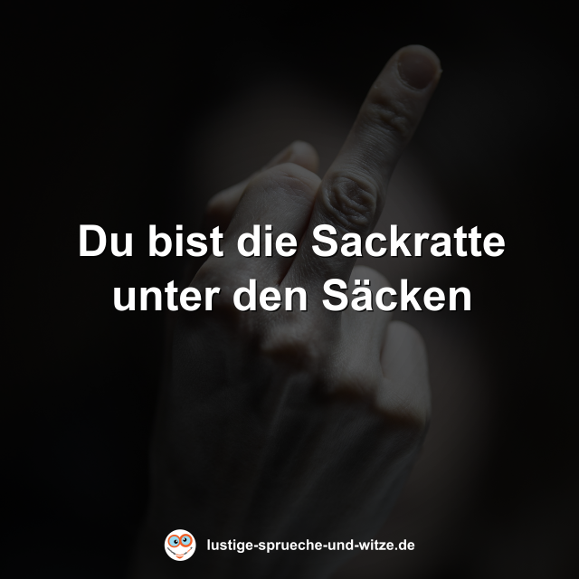 Du bist die Sackratte unter den S&auml;cken