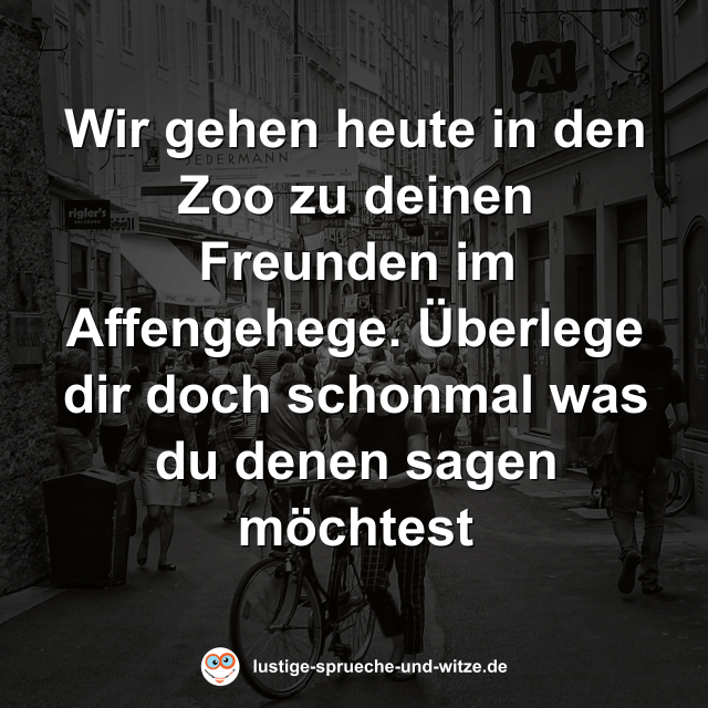 Wir gehen heute in den Zoo zu deinen Freunden im Affengehege. &Uuml;berlege dir doch schonmal was du denen sagen m&ouml;chtest