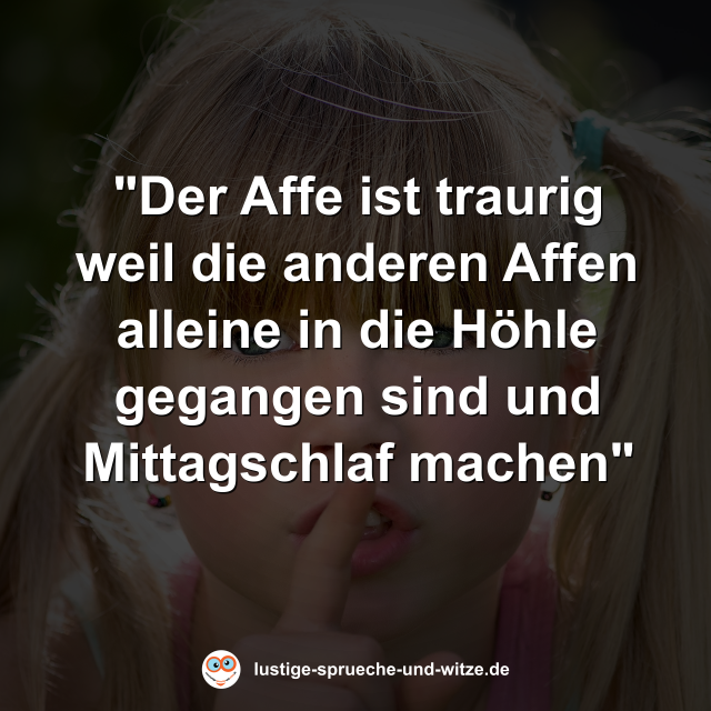 "Der Affe ist traurig weil die anderen Affen alleine in die H&ouml;hle gegangen sind und Mittagschlaf machen"