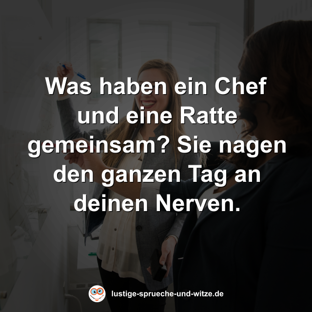 Was haben ein Chef und eine Ratte gemeinsam? Sie nagen den ganzen Tag an deinen Nerven.