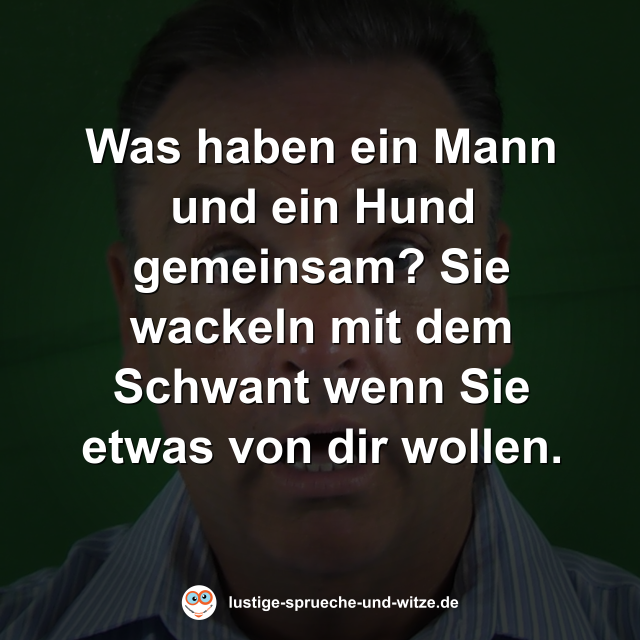 Was haben ein Mann und ein Hund gemeinsam? Sie wackeln mit dem Schwant wenn Sie etwas von dir wollen.
