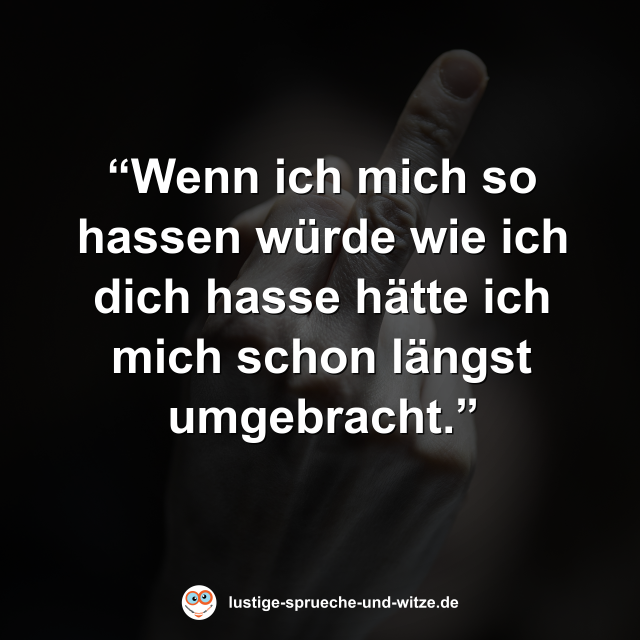 &ldquo;Wenn ich mich so hassen w&uuml;rde wie ich dich hasse h&auml;tte ich mich schon l&auml;ngst umgebracht.&rdquo;