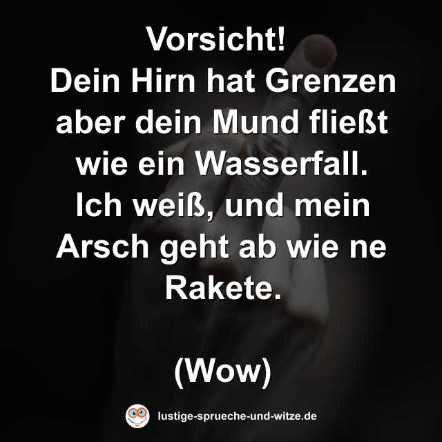 Vorsicht!  Dein Hirn hat Grenzen aber dein Mund flie&szlig;t wie ein Wasserfall. Ich wei&szlig;, und mein Arsch geht ab wie ne Rakete.  (Wow)
