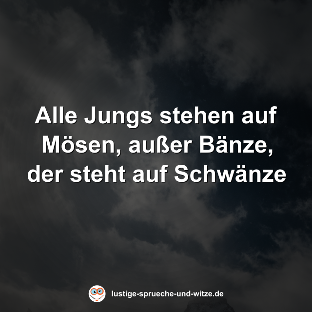 Alle Jungs stehen auf M&ouml;sen, au&szlig;er B&auml;nze, der steht auf Schw&auml;nze