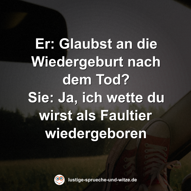 Glaubst an die Wiedergeburt nach dem Tod? Ja, ich wette du wirst als Faultier wiedergeboren