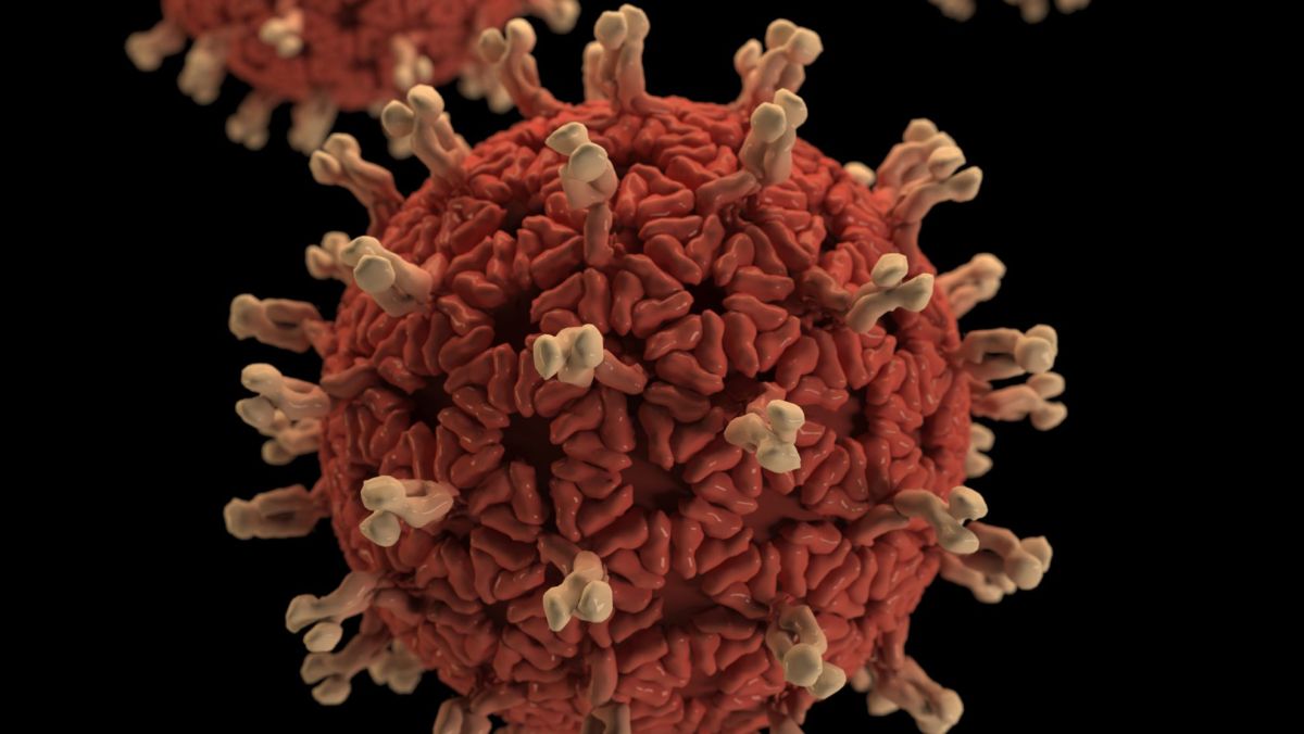 Die wichtigsten Fragen und Antworten zum Dumme-Arschloch-Virus