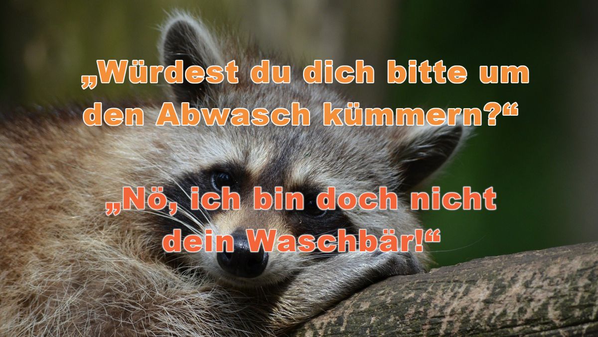 33 tierische Antworten für allgemeine Fragen des Alltags